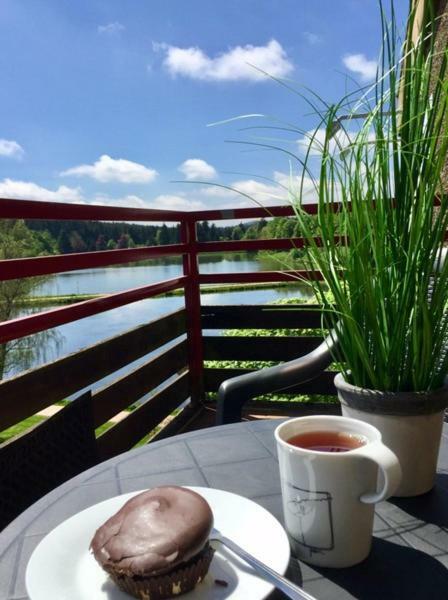 Seesicht Appartements Am Kranichsee Goslar Dış mekan fotoğraf